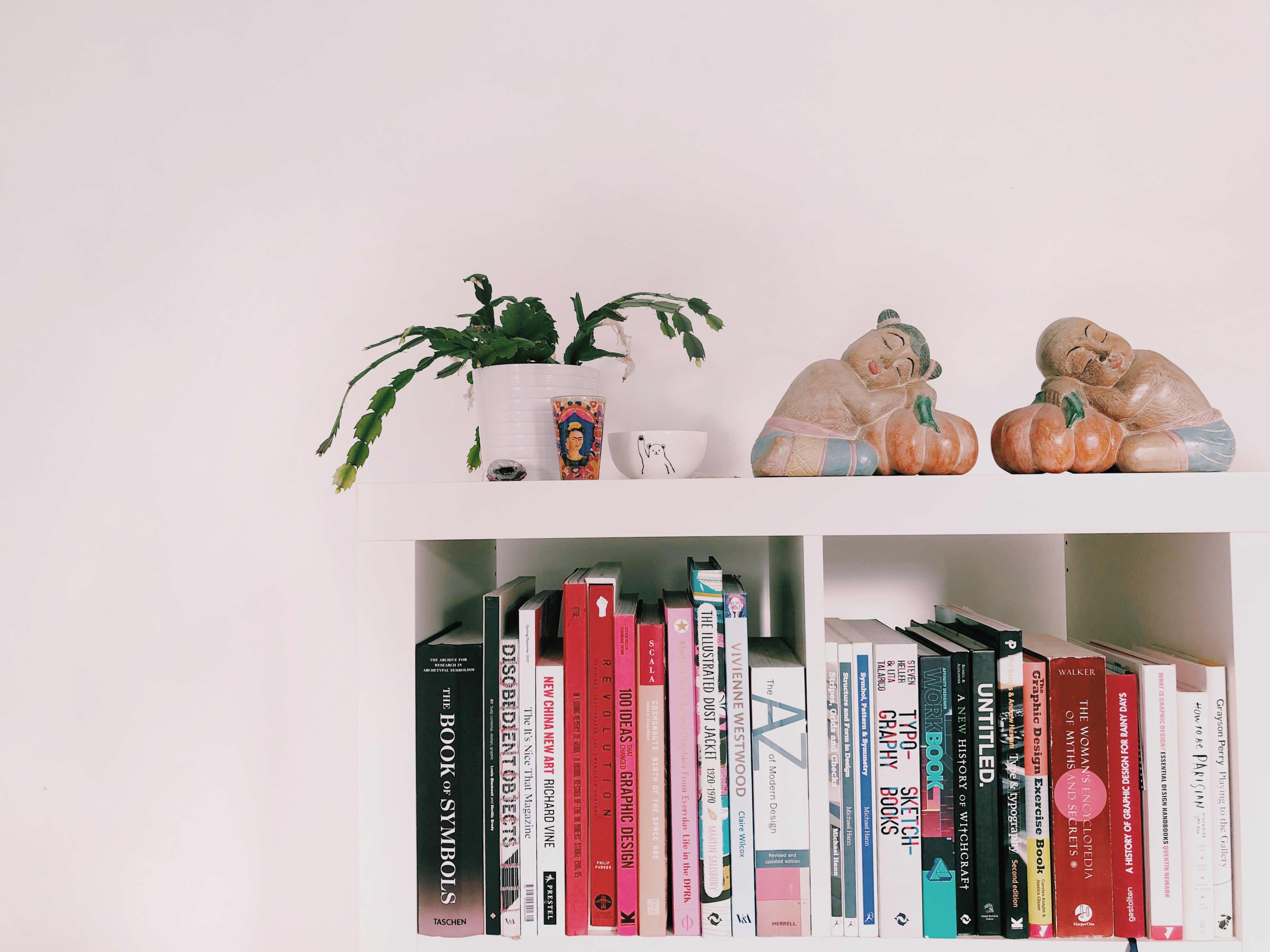 a bookshelf with art and design books and a houseplant